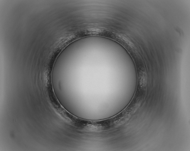 X0000112940455200909071058