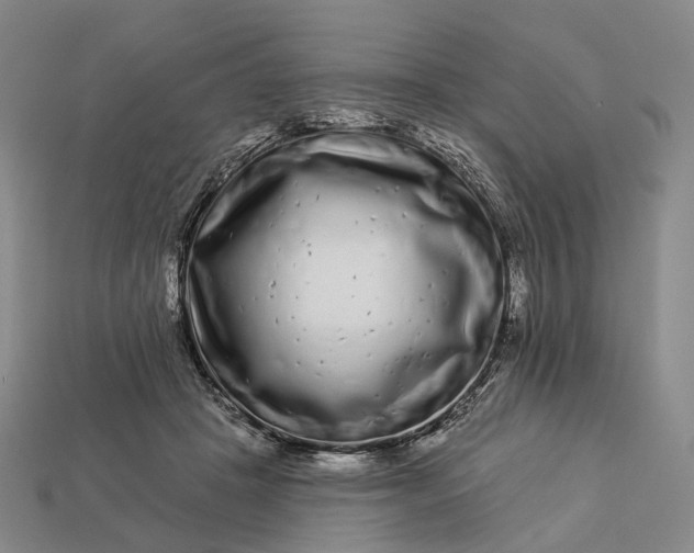 X0000112940457200909071058