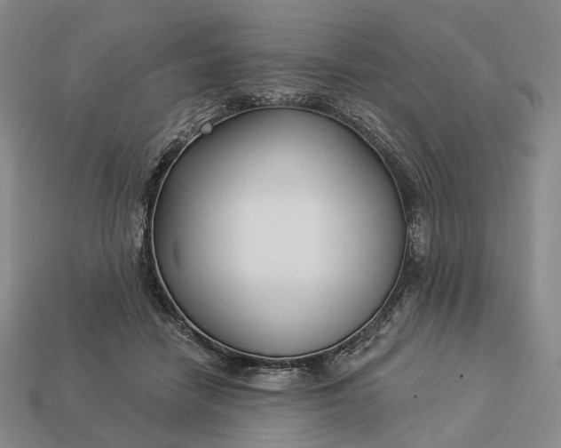 X0000112940458200909071058