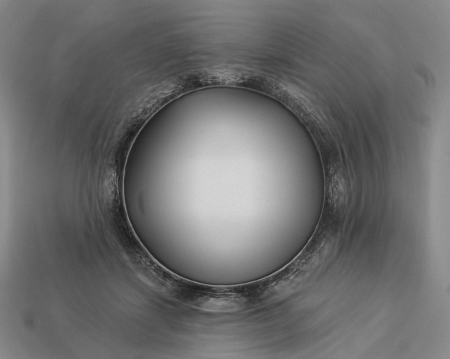 X0000112940459200909071058