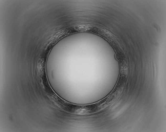 X0000112940460200909071058