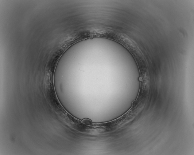 X0000112940463200909071058