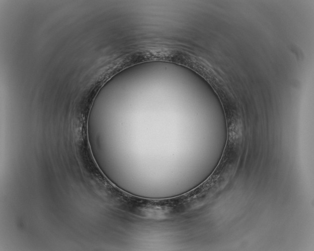 X0000112940464200909071058