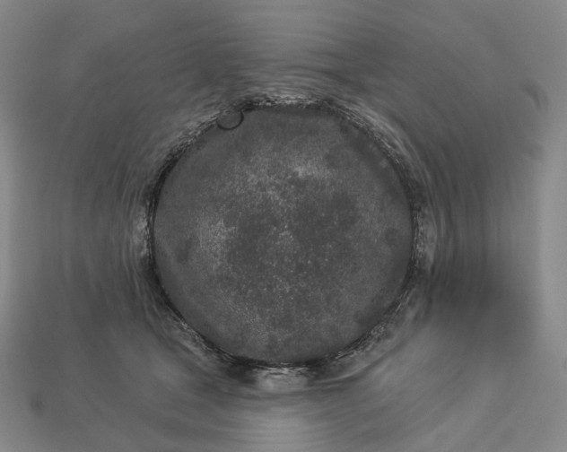 X0000112940465200909071058