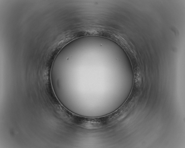 X0000112940466200909071058