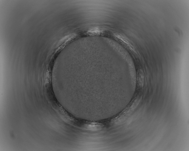 X0000112940467200909071058