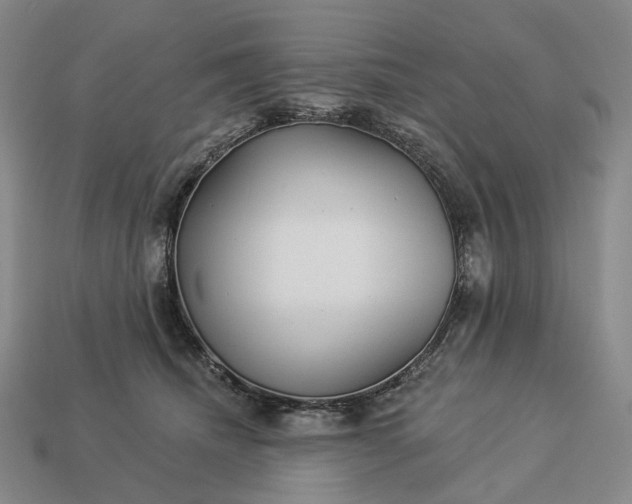 X0000112940468200909071058