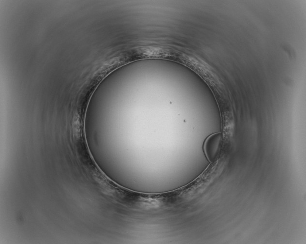 X0000112940469200909071058