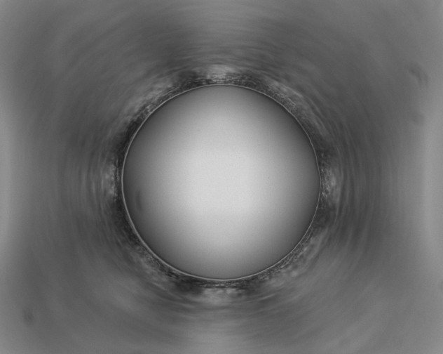 X0000112940470200909071058