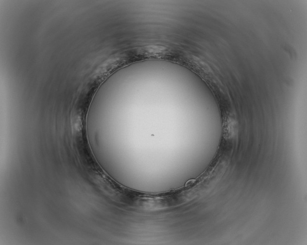 X0000112940472200909071058