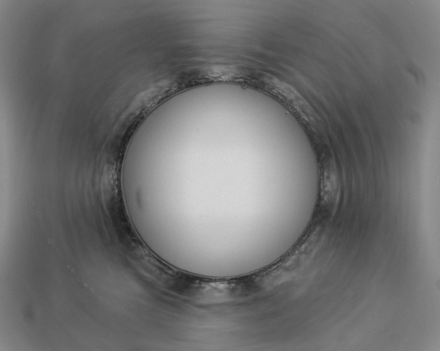 X0000112940473200909071058