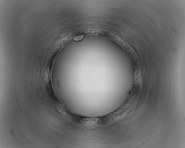 X0000112940474200909071058