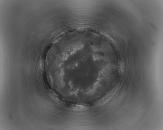 X0000112940475200909071058