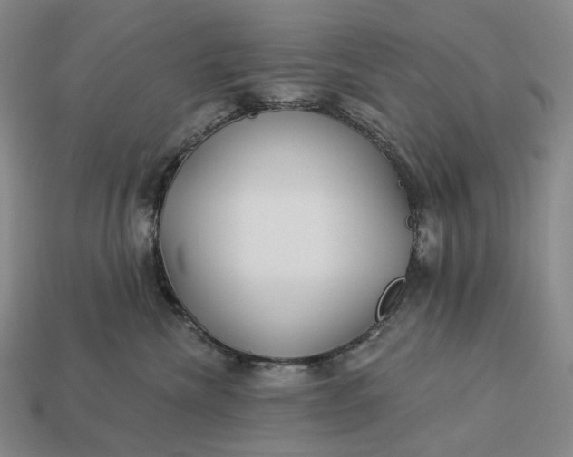 X0000112940476200909071058