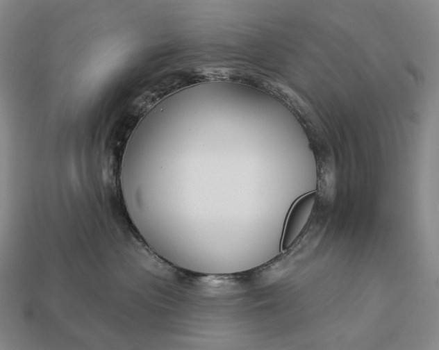 X0000112940477200909071058