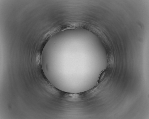 X0000112940478200909071058