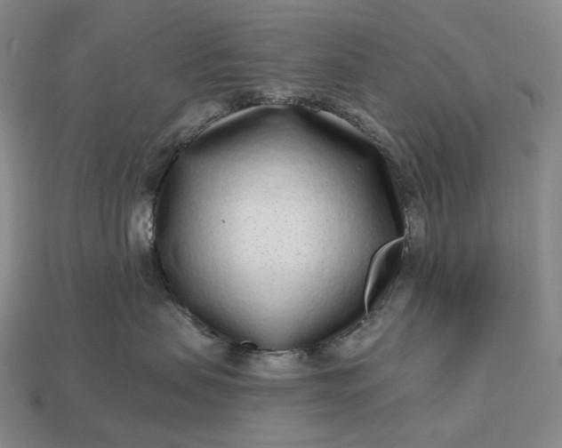 X0000112940479200909071058