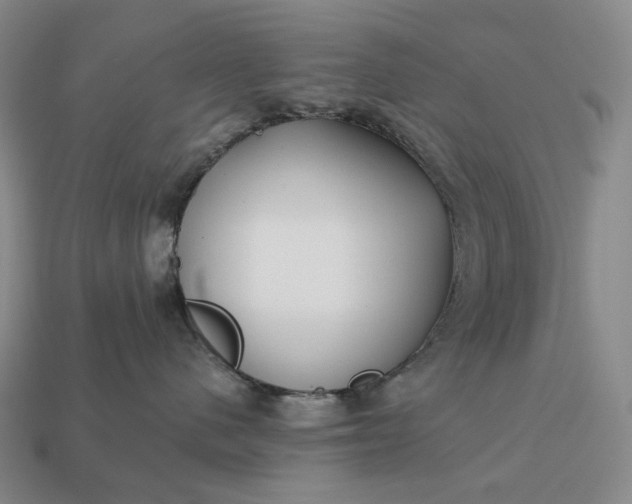 X0000112940480200909071058