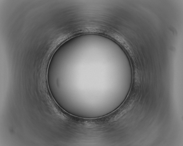 X0000112940481200909071058