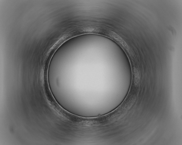 X0000112940482200909071058