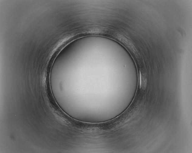 X0000112940483200909071058