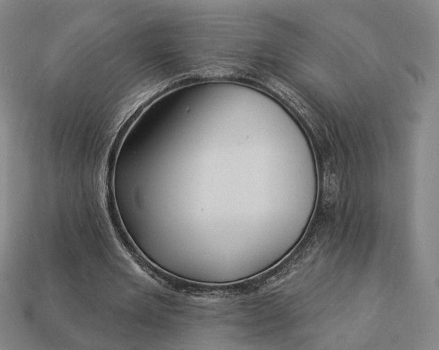 X0000112940485200909071058