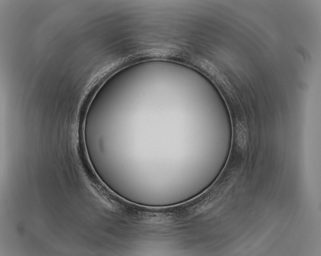 X0000112940486200909071058