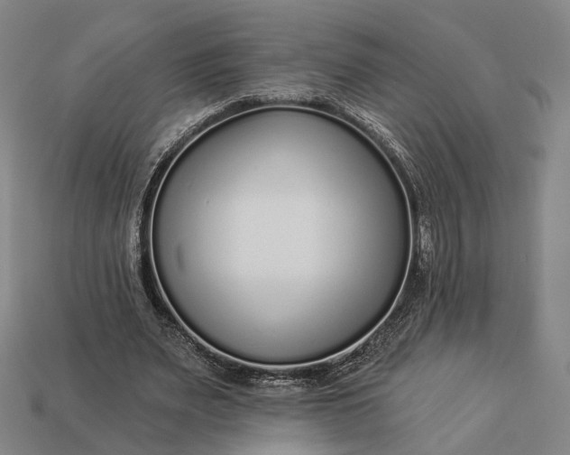 X0000112940487200909071058