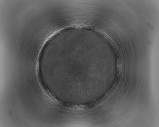 X0000112940488200909071058