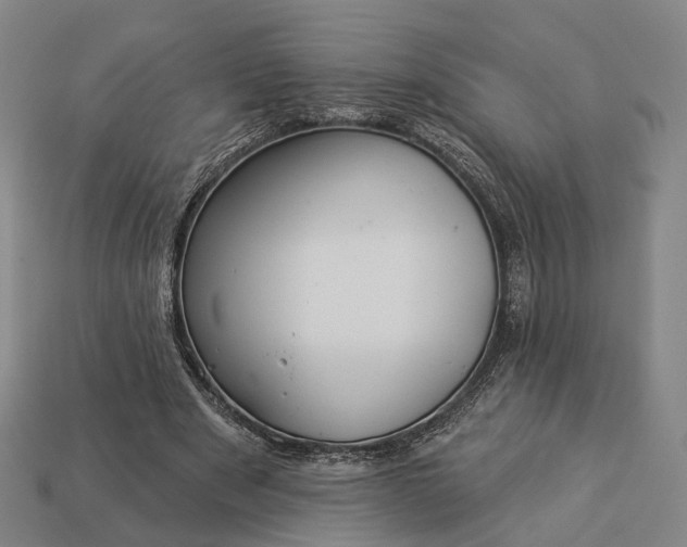 X0000112940489200909071058