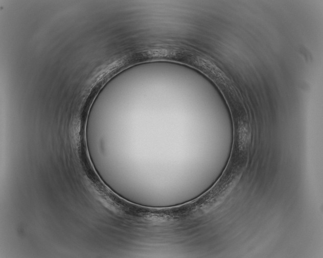 X0000112940490200909071058