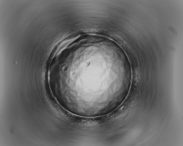 X0000112940491200909071058