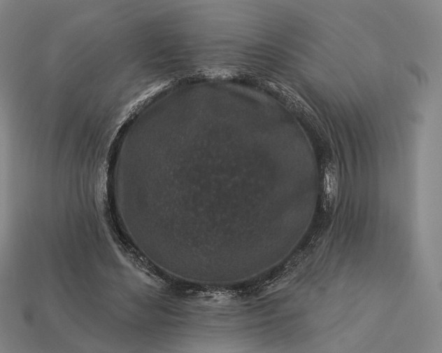 X0000112940492200909071058