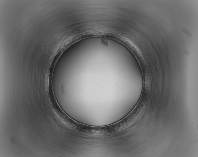 X0000112940493200909071058