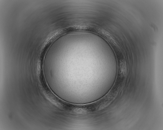 X0000112940494200909071058