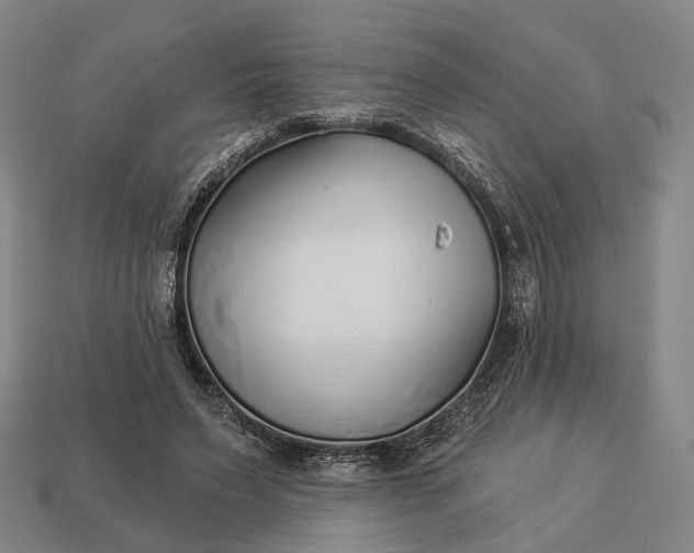 X0000112940495200909071058