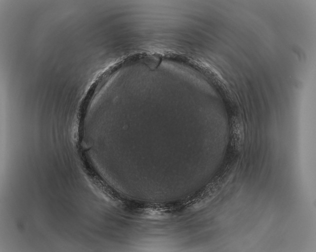 X0000112940496200909071058