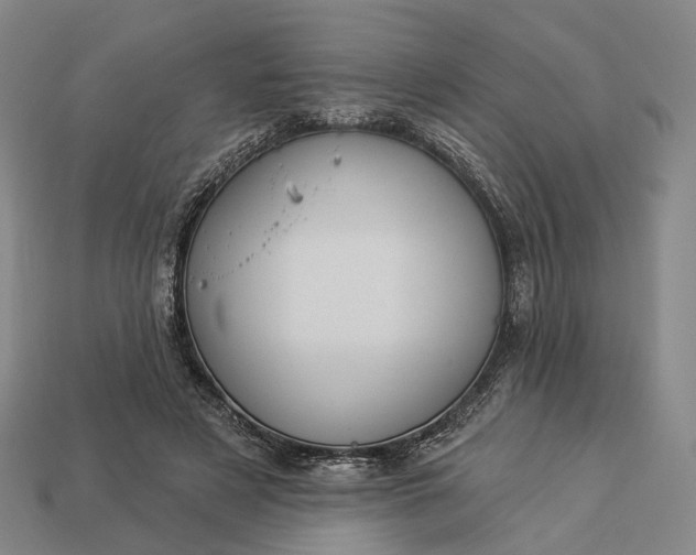 X0000112940497200909071057