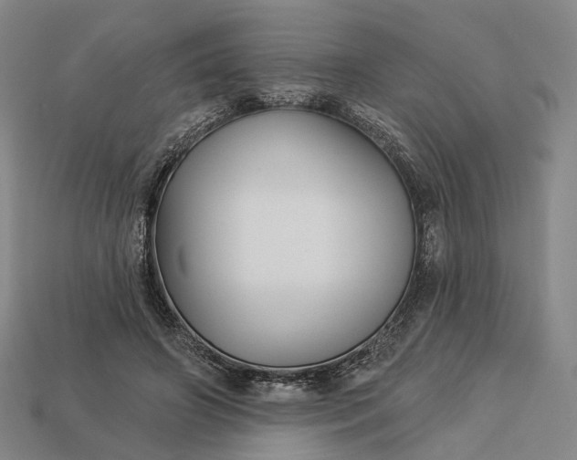 X0000112940498200909071057