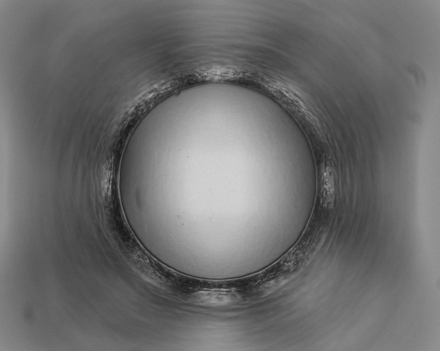 X0000112940499200909071057