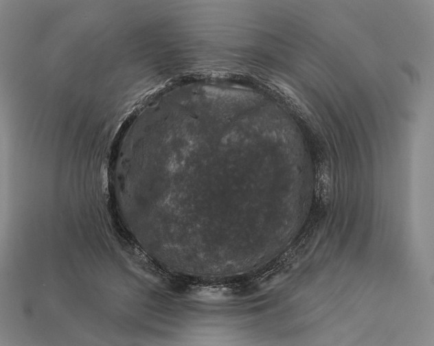 X0000112940500200909071057