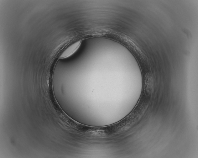 X0000112940501200909071057