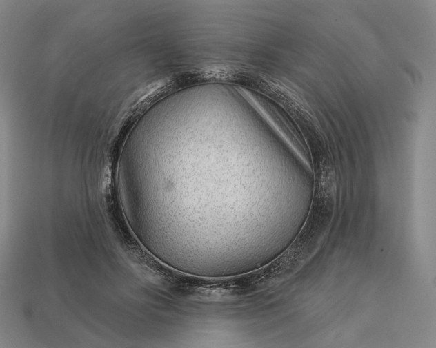 X0000112940502200909071057