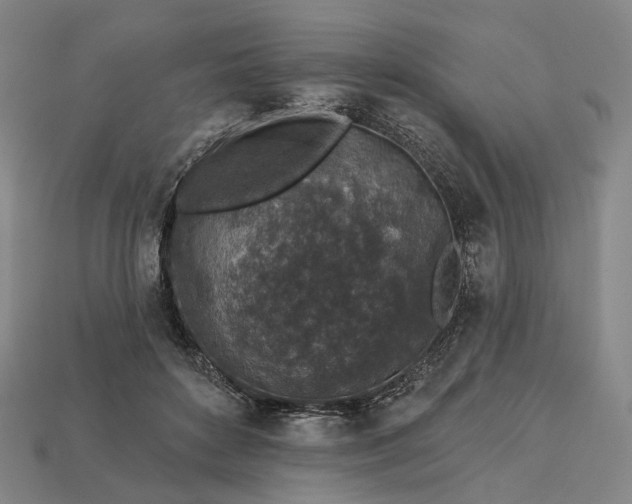 X0000112940504200909071057