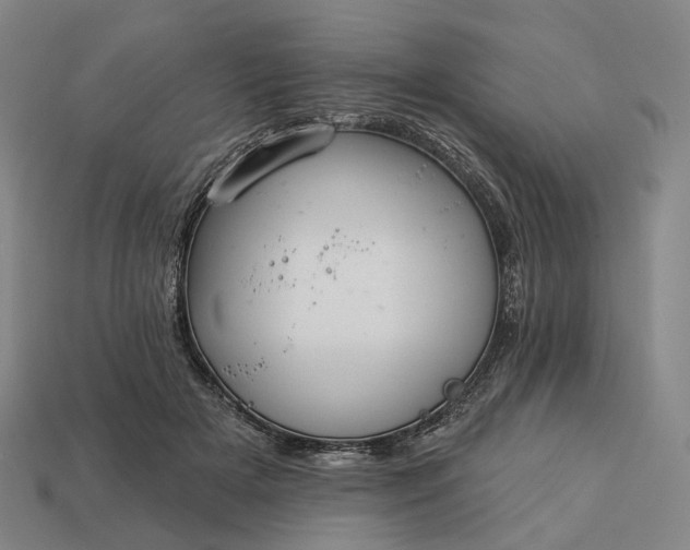 X0000112940505200909071057