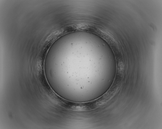 X0000112940506200909071057