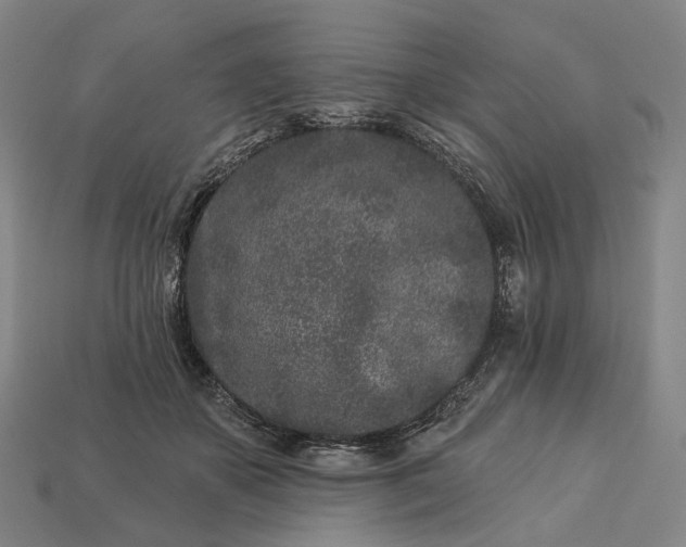 X0000112940507200909071057