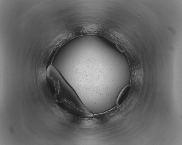 X0000112940508200909071057