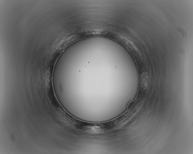 X0000112940509200909071057