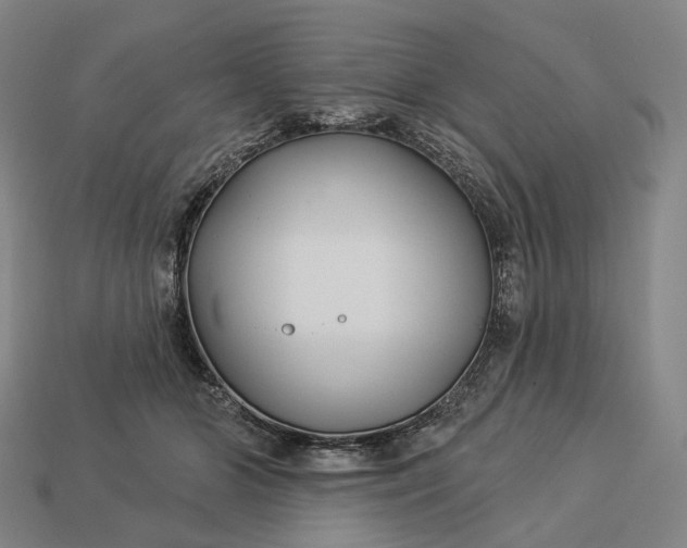 X0000112940510200909071057